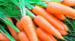  Bí quyết trị tàn mang bằng cà rốt 