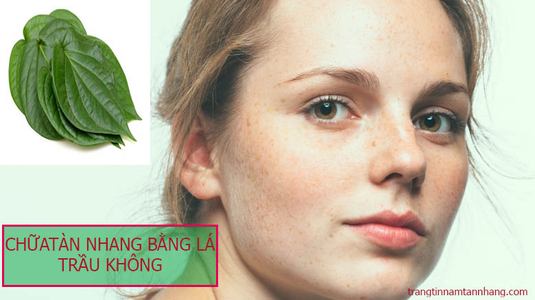 Chữa tàn nhang bằng lá trầu không