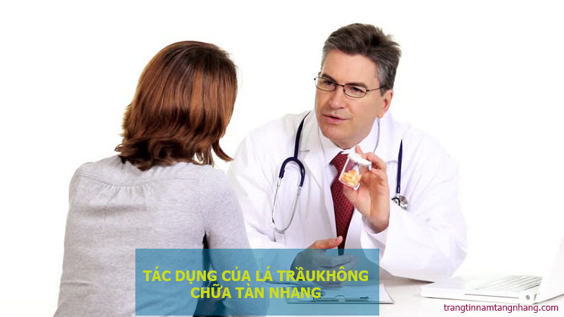 Tác dụng chữa tàn nhang bằng lá trầu không