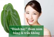 Trị nám da bằng lá trầu không