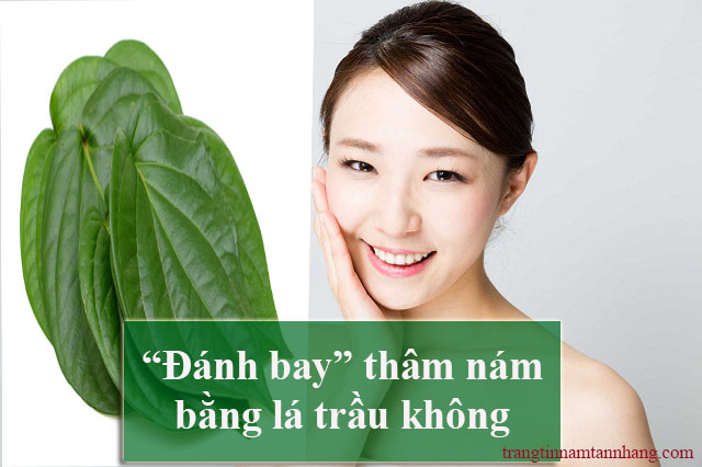 Trị nám da bằng lá trầu không