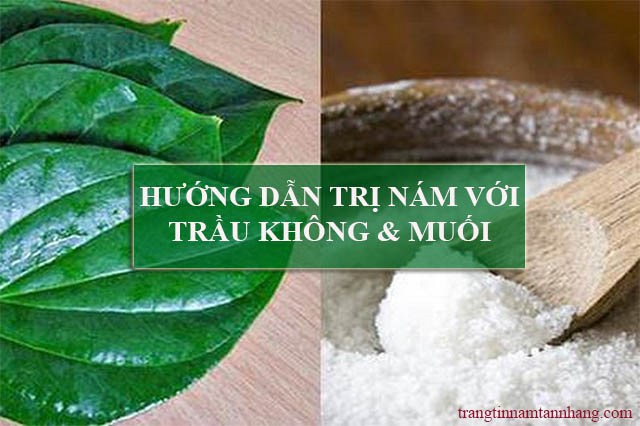 Trị nám da bằng bằng lá trầu không và muối tinh