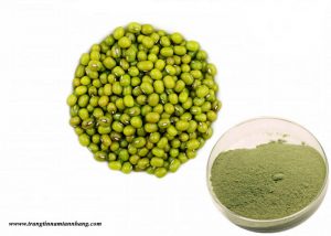 cách trị tàn nhang bằng đậu xanh