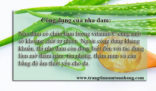 Công dụng trị tàn nhang của nha đam