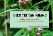 Trị tàn nhang bằng cây ích mẫu