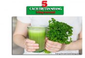 5 cách trị tàn nhang bằng rau mùi