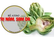 Trị nám sạm da bằng rễ cây Atiso cực hay