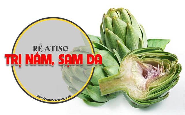 Trị nám sạm da bằng rễ cây Atiso 