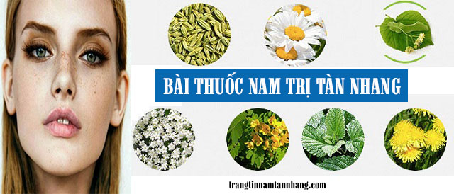 Bài thuốc nam điều trị tàn nhang