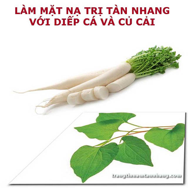 Cách trị tàn nhang bằng rau diếp cá