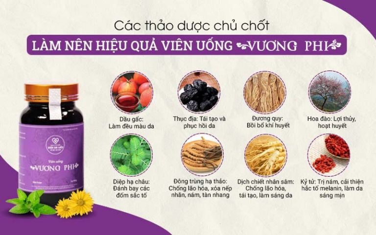 Các thảo dược chủ chốt cấu thành chế phẩm viên thuốc uống