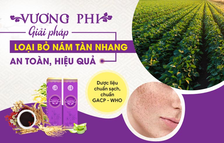 Vương Phi sử dụng dược liệu sạch 100%