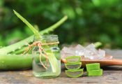 Xử Lý Nám Bằng Nha Đam: Những Vấn Đề Cần Lưu Ý Tránh Gây Hại Cho Da