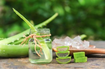Xử Lý Nám Bằng Nha Đam: Những Vấn Đề Cần Lưu Ý Tránh Gây Hại Cho Da